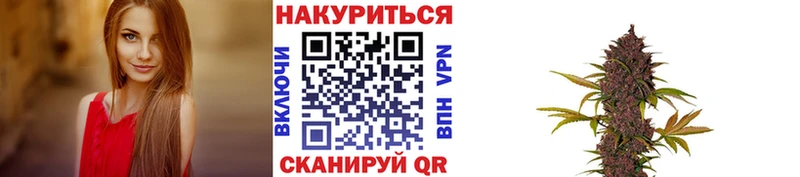 МАРИХУАНА сатива  наркошоп  Алексин 